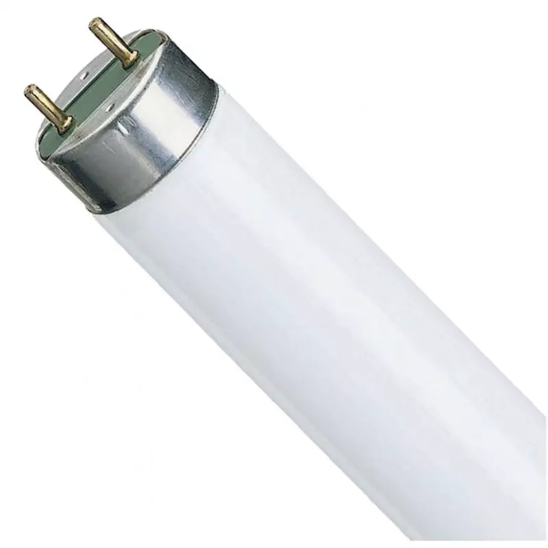 LAMPE NEON 15W/830 HOTTE NOVY LONGUEUR 445MM - Vigier Electroménager